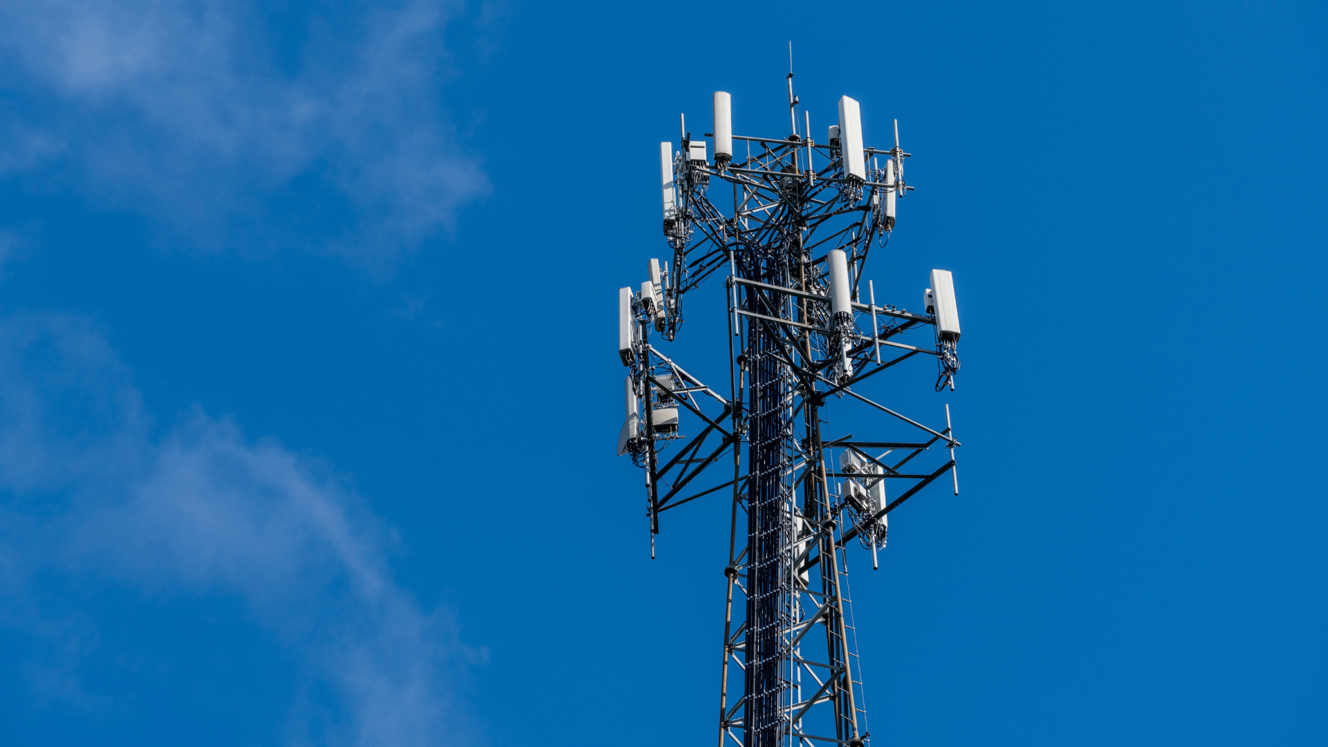 Connecting to Savings with Trax