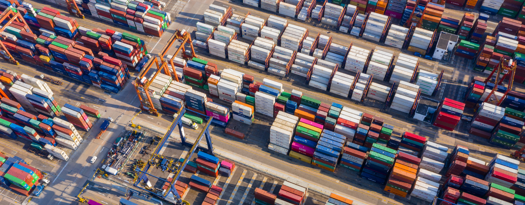 Discover how cutting-edge supply chain software transforms freight data into cost savings and a market advantage.