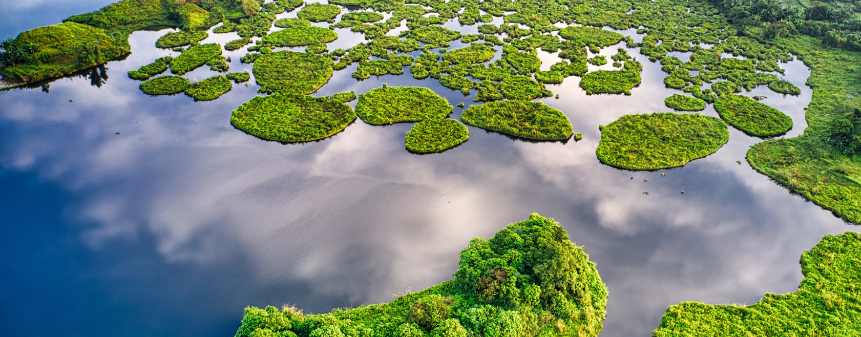 Bloomberg study shows supply chain geography drives investment returns. Read about it here.