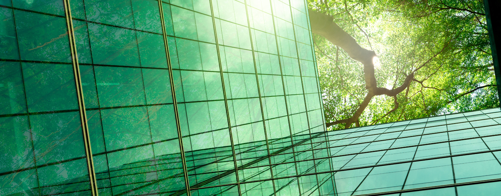 CPG companies deploy AI-driven carbon tracking as Scope 3 emissions become critical for net-zero goals.