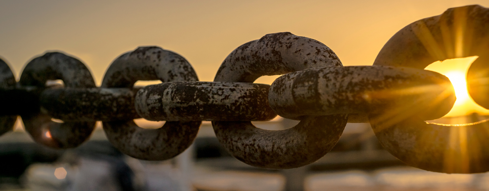 Discover how transportation cost audits can reduce spend and provide strategic insights for global supply chain optimization.