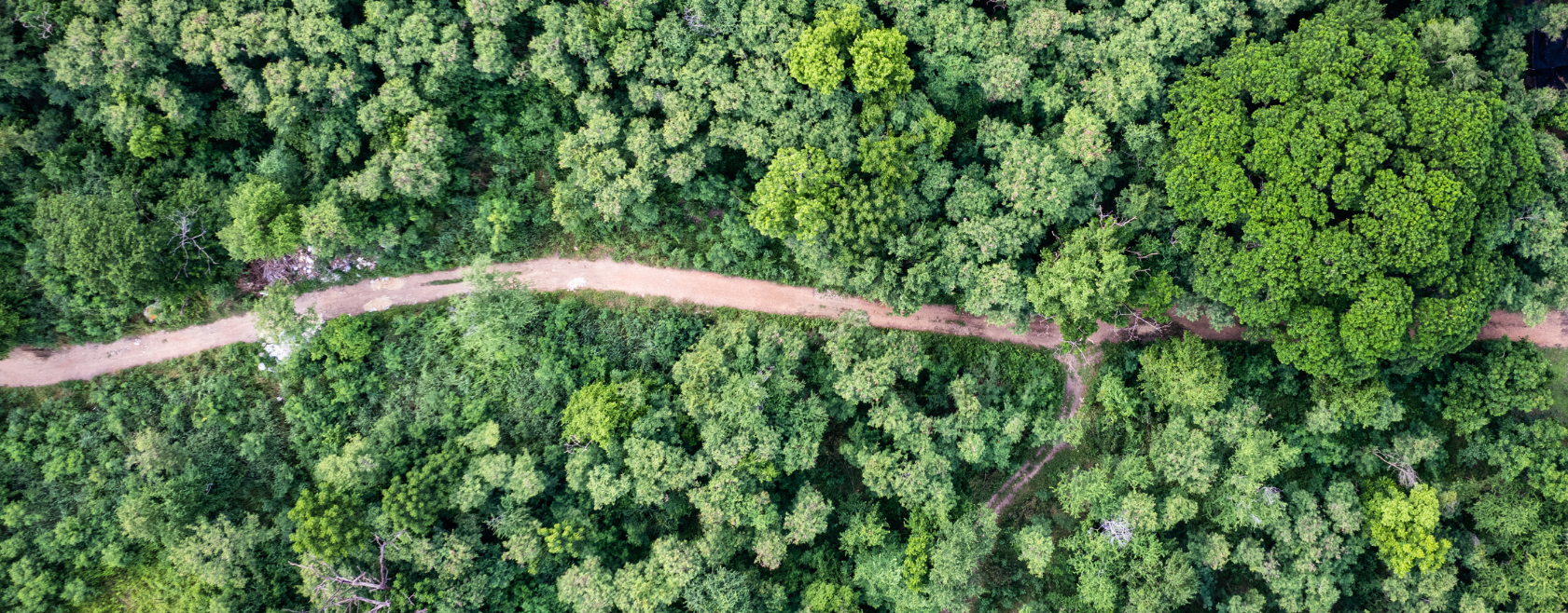 Discover practical strategies to reduce carbon footprints across global supply chains while improving operational efficiency and compliance.