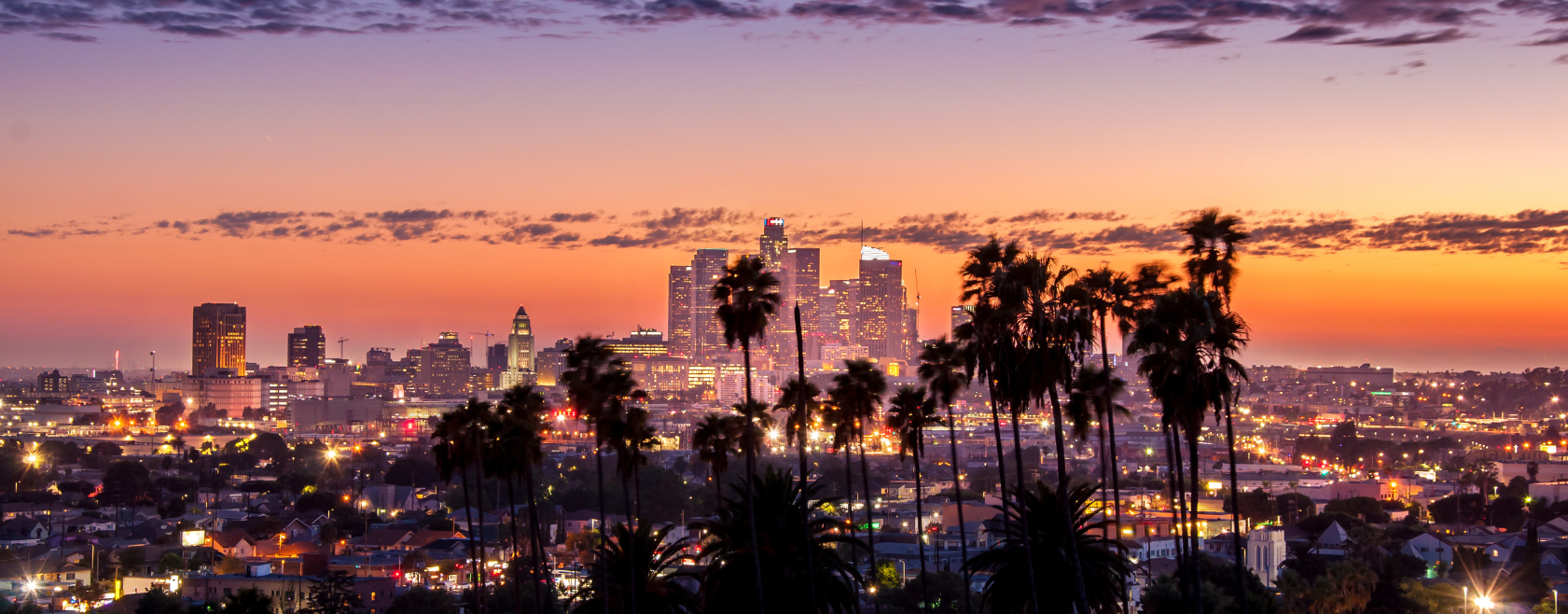 Los Angeles Port volumes drop 19% as tariffs cut trucker loads from 5 containers daily to 2-3 loads