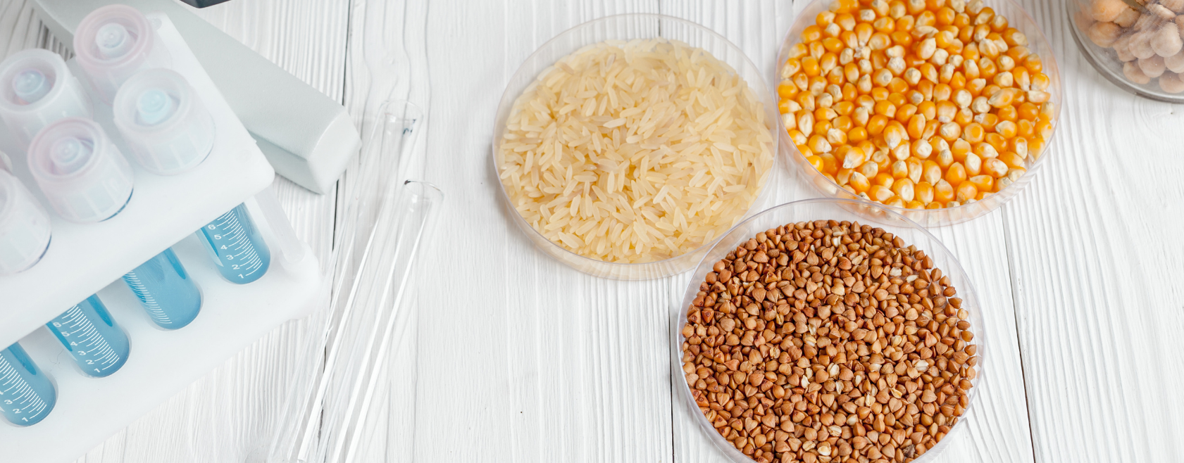  AI transforms food supply chains with smart monitoring, autonomous processing, and predictive analytics.