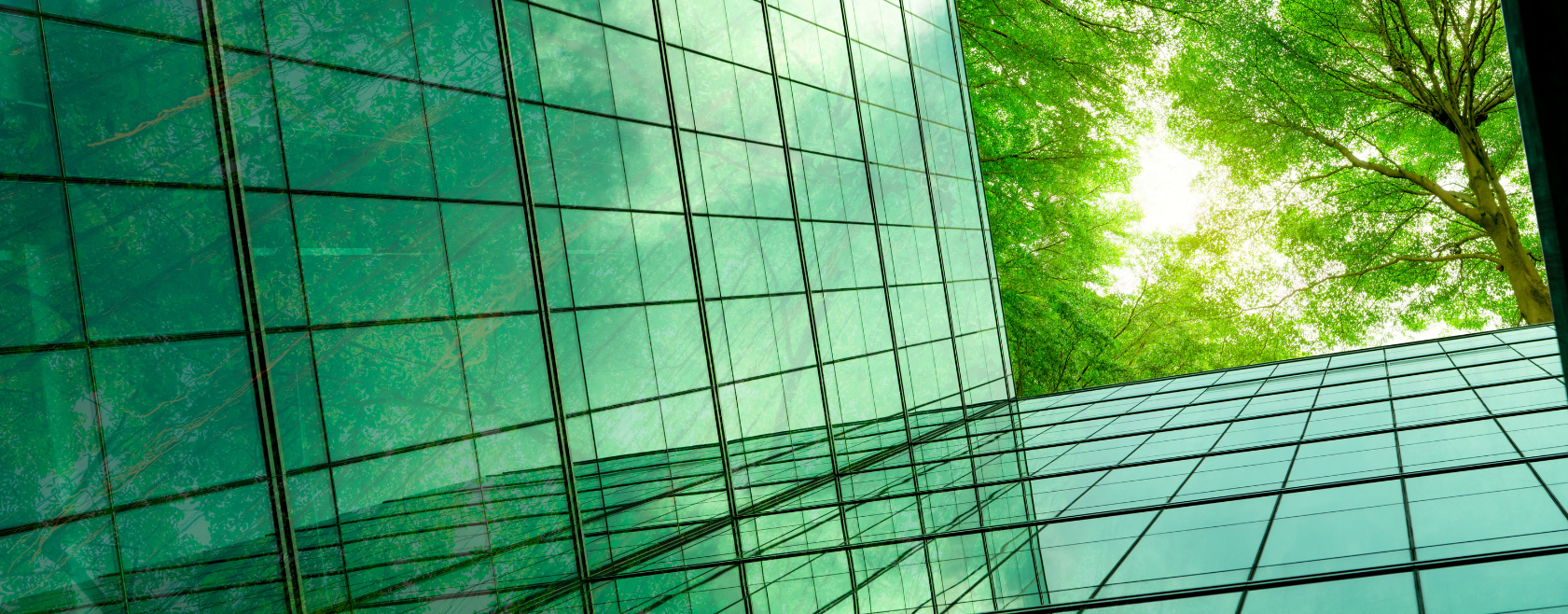 EcoVadis 2025 sustainability index shows global supply chain progress with persistent gaps. 