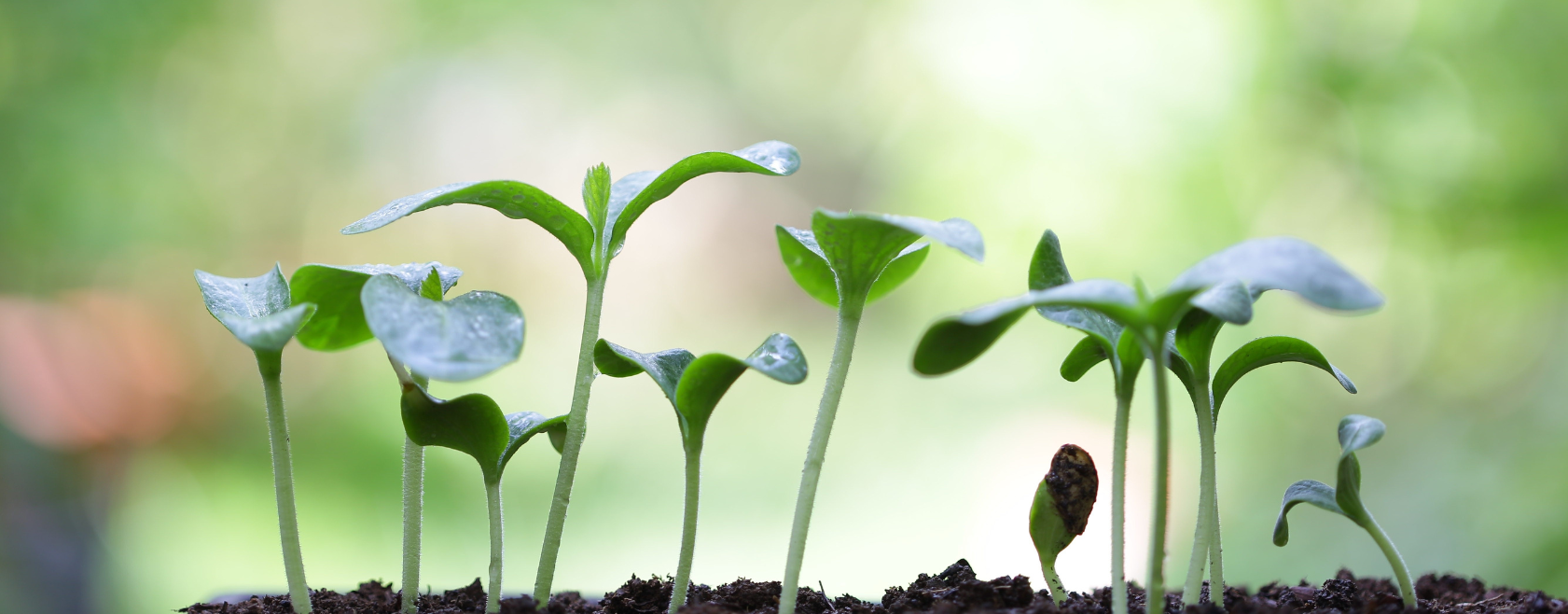 Photo inspiration: Gallery Detail: Environmental Impact Over Pure Cost Optimization
