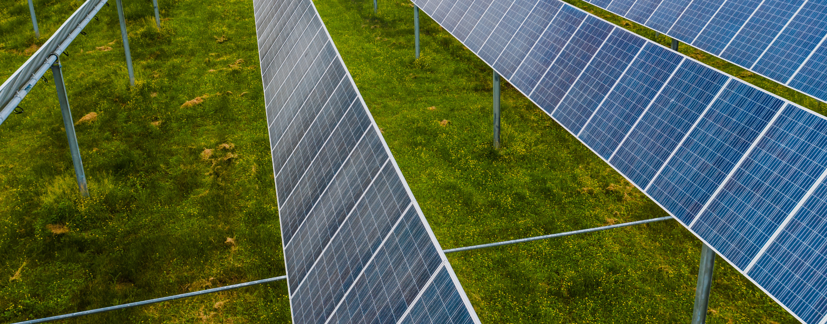 Research reveals measurable relationships between triple bottom line sustainability and resilience